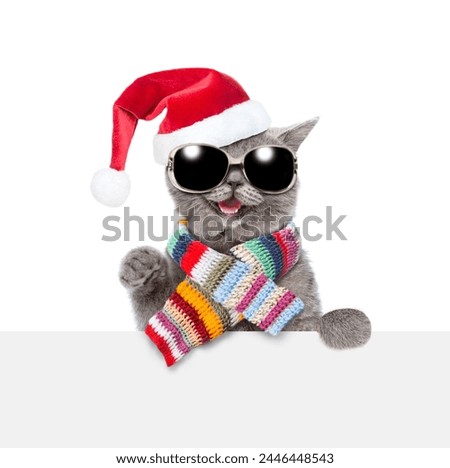 Happy cat wearing red santa hat and warm knitted scarf looks above empty white board. isolated on white background