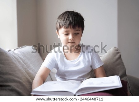 Authentic Kid reading a book with bright light shining in the morning,Happy boy sitting next to window reading a story or cartoon, Hight key light Child siting on sofa relaxing at home on Summer