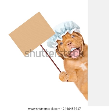 Happy Mastiff puppy with funny big teeth wearing shower cap looking from behind empty white banner and showing empty placard. isolated on white background