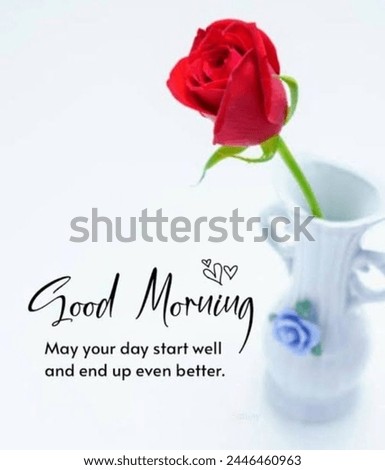 Red rose in a white flower vase and very beautiful good morning quote is written on a white background 