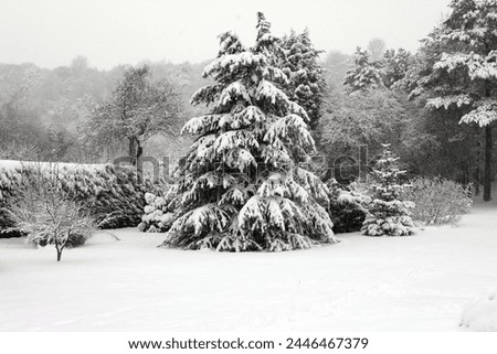 Exterior photo view during a cold winter weather of a english england uk rural landscape covered with frozen white snow with freeze tree village 