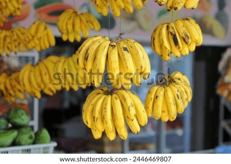 bananas hanging in shops for sale, nature background