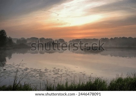 Autumn scenery near the river Elbe in North Germany