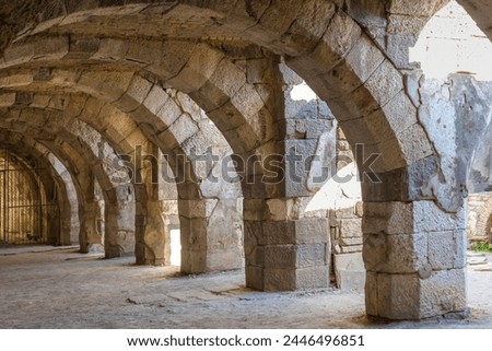 Time-worn arches structure of North Stoa or Basilica at Roman Agora in ancient Smyrna. Izmir, Turkey (Turkiye) Royalty-Free Stock Photo #2446496851