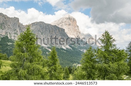 View from Lago di Limides towards Tofana di Rozes mountain in the Italian Dolomites. Alpine summer view with pine trees and rocky mountains background. Beautiful hiking place for active tourists. Royalty-Free Stock Photo #2446513573