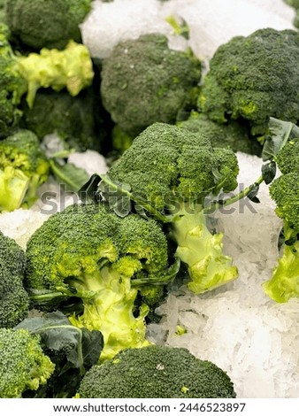 a photography of a pile of broccoli sitting on top of ice.
