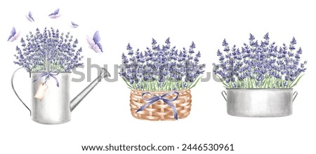 Watercolor set lavender flowers in different flower pots. Isolated hand drawn illustration provence floral bouquet. Vintage drawing floral herbs template for postcard, tableware, textile, embroidery.
