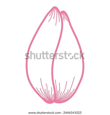 Tulip flower head outline, hand drawn line art illustration. Spring blossom, pink bloom, floral element. Vector design, isolated. Mothers Day, Easter, seasonal, botanical clip art