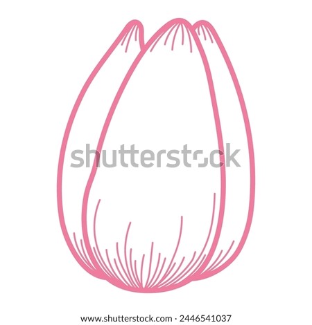 Tulip flower head outline, hand drawn line art illustration. Spring blossom, pink bloom, floral element. Vector design, isolated. Mothers Day, Easter, seasonal, botanical clip art