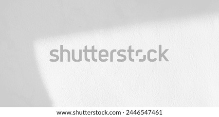 Shadow Background Abstract Leave Overlay Wall Floor Light Effect White Plant Sunlight Backdrop Mockup Minimal Spring Summer Nature Grey blur Photography Scene Template Poster Card Frame Product.