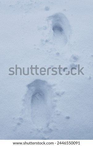 Exterior photo view during cold dedember winter of a snow in a park garden with foorprint foot steps marks shapes in the snow after walking walk on it foor print