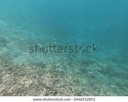 This is the underwater photo.