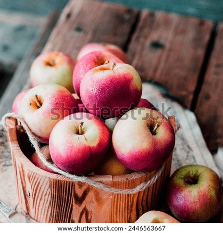 fresh red apple picture | Apple fruit is not only delicious but also packed with nutrients like vitamin C and dietary fiber. It comes in various colors and flavors, with popular varieties including Ga