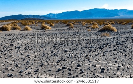 View of dry rock desert with sparse drought-resistant vegetation in Death Valley, Death Valley National Park, California Royalty-Free Stock Photo #2446581519
