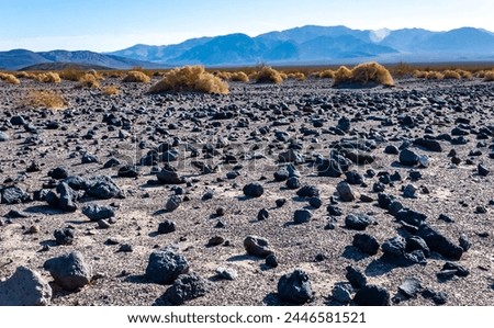 View of dry rock desert with sparse drought-resistant vegetation in Death Valley, Death Valley National Park, California Royalty-Free Stock Photo #2446581521