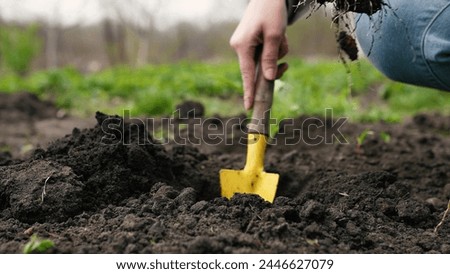 farmer digs ground with shovel, shovel, hands planting green sprout ground, agriculture, seedling, sprout, open field, farmer planting soil with plant, planting young germs ground, engaged favorite