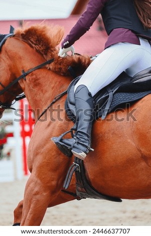Ride to the obstacle. Show Jumping , influence of the rider on the horse. Whip in hand close-up. Vertical photo Royalty-Free Stock Photo #2446637707