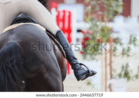 Influence with body, legs and hands. Riders active leg close-up. Equestrian Sports, Show Jumping themed photo Royalty-Free Stock Photo #2446637719