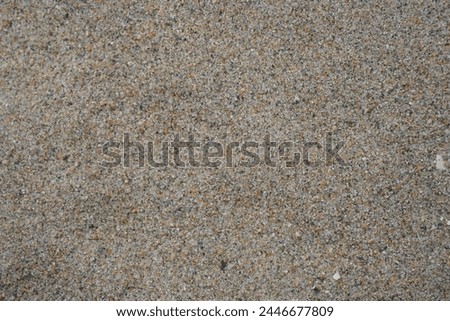 Sand Texture from California Beach