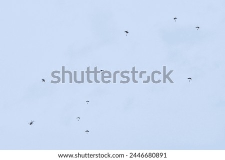 Airborne forces paratroopers soaring holding Flag of Russia and flags of military units, military exercise for celebration of Airborne Forces Day with formation landing, army airborne division descend Royalty-Free Stock Photo #2446680891