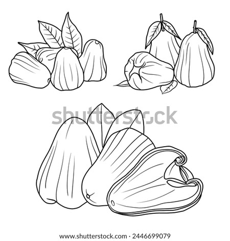 Vector drawing Illustration Hand drawn ink sketch of Water Apple Fruit, Half Peeled, whole and sliced line art isolated on white background.  For kids coloring book.outline vector doodle illustration