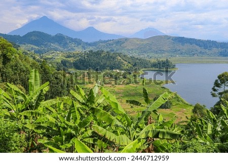 Bunyonyi Lake, Uganda - April, 2024: Incredible nature and landscapes from Eastern Africa. Royalty-Free Stock Photo #2446712959