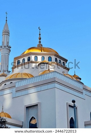 Close up of the Golden Domed Mohammad Bin Ahmed Almulla Mosque on the Dubai Marina Royalty-Free Stock Photo #2446722013