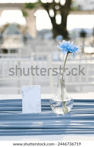 close up vase with beautiful flower on table, hello spring season, happy valentine’s day, wedding ceremony wallpaper background concept