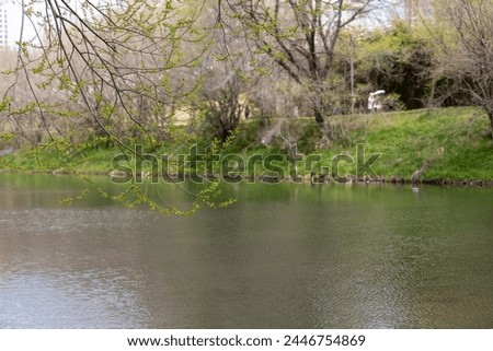 Cheonggyecheon Stream spring landscape photography