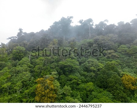 Misty cloud forest in the foothills of the Chiriqui highlands in Baru volcano, Panama, Central America - stock photo