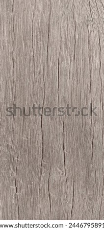 the texture of old wood grain worn away by age Royalty-Free Stock Photo #2446795891