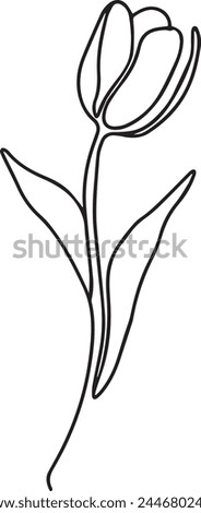 Tulip flower continuous line art drawing. Tulips set minimalist black linear sketch isolated on white background. Vector color illustration in one line art.
