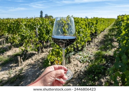 Tasting of red Bordeaux wine, Merlot or Cabernet Sauvignon red wine grapes on cru class vineyards in Pomerol, Saint-Emilion wine making region, France, Bordeaux Royalty-Free Stock Photo #2446806423