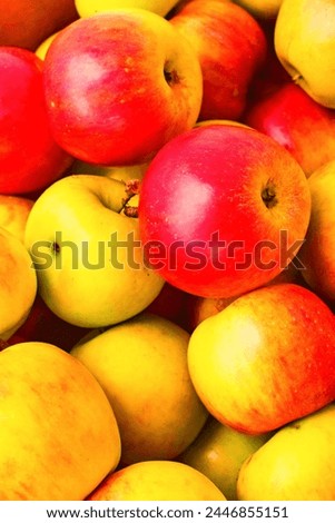 An Indian red ♥️, yellow 🟡 sweet, delicious apple 🍎 fruits are always ready for customer for health, testy, nutrition  Royalty-Free Stock Photo #2446855151