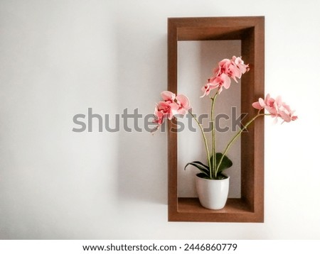 Pink orchid on a wood frame with copy space on a light background 