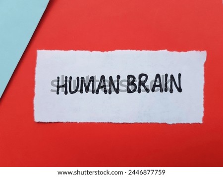 Human brain writting on red background.