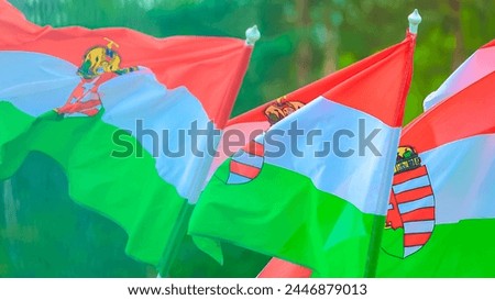 Photographs are taken to commemorate Hungarian flags, cultural events, and the Tabas campaign.
