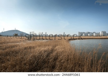 It is a picture of Soraepogu in Incheon, South Korea.