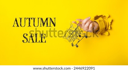 A person holding a shopping cart with the words Autumn Sale written underneath. The image has a bright yellow background and a sense of excitement and anticipation for the sale