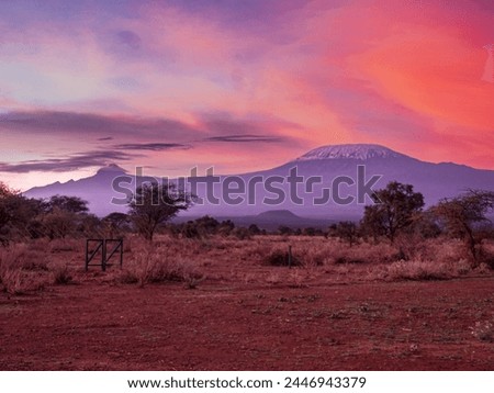 Mt Kilimanjaro at Dusk from Amboseli National Park