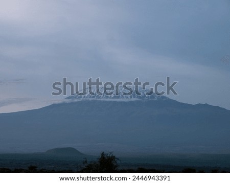 Panoramic view of Mt Kilimanjaro Royalty-Free Stock Photo #2446943391