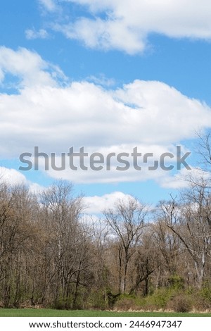 Springtime has arrived in Pennsylvania with the trees blooming. Royalty-Free Stock Photo #2446947347