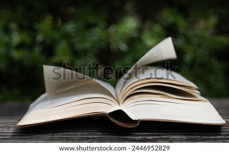 An old book lies open on a weathered wooden board. A blurred green hedge in the background. The wind plays with the pages of the book. The writing in the book is illegible.