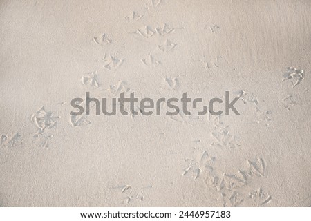 Beautiful Wavy Sand texture beach for background, Top view. for summer designs, copy past. Nature background concept Royalty-Free Stock Photo #2446957183