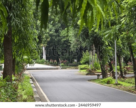 A serene tree-lined road creating a natural archway, with lush greenery, benches, and lampposts, leading to a tranquil and picturesque park setting Royalty-Free Stock Photo #2446959497