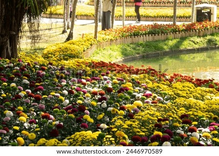 A garden with a lot of flowers and a pond. The flowers are in different colors and the pond is in the background