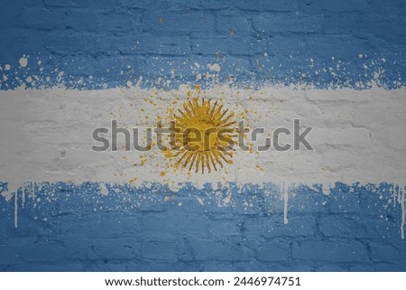 colorful painted big national flag of argentina on a massive old brick wall