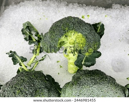 a photography of broccoli in a container of ice with a green leaf.