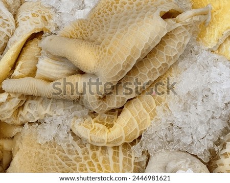 a photography of a pile of food that is on ice.