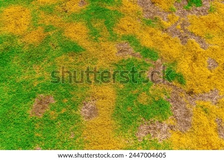background with colorful abstract Indonesian nature for business